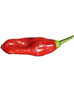 Aji Crujiente