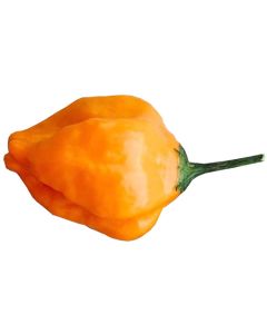 Aji Mango