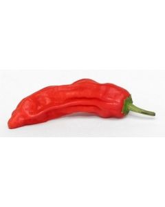Aji SantaCruz