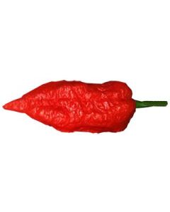 Naga Bengal