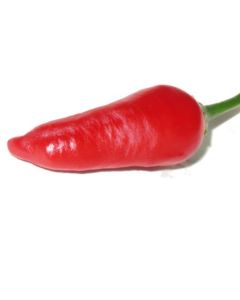 Aji Benito