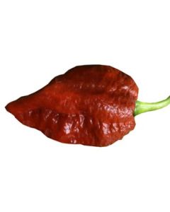 Bhutlah Brown