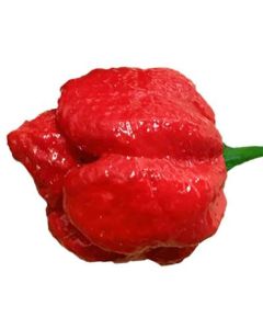 Brazilian Ghost Red