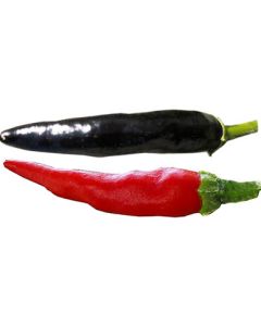 Chinese Black