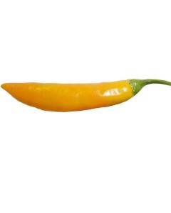Aji Cito