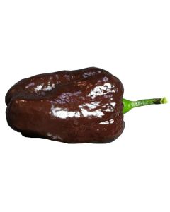 Devil´s Brain Chocolate
