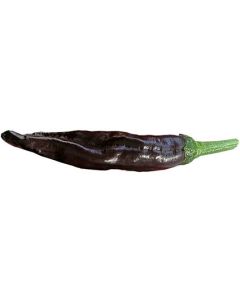 Ecuadorian Brown