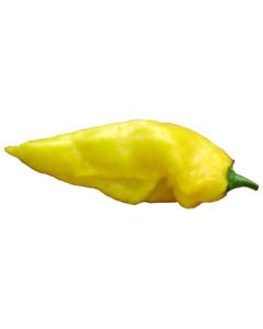 Habanero Hot Lemon