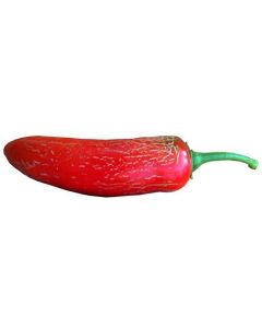 Jalapeno Early
