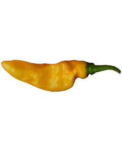 Mako Akokɔsrade Ghana