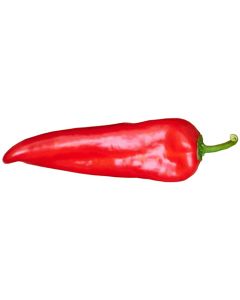 Marconi Red