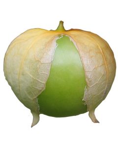 Tomatillo - Till Salsasås