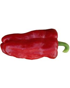 Türkischer Gewürzpaprika